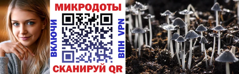 Псилоцибиновые грибы MAGIC MUSHROOMS  Железноводск 